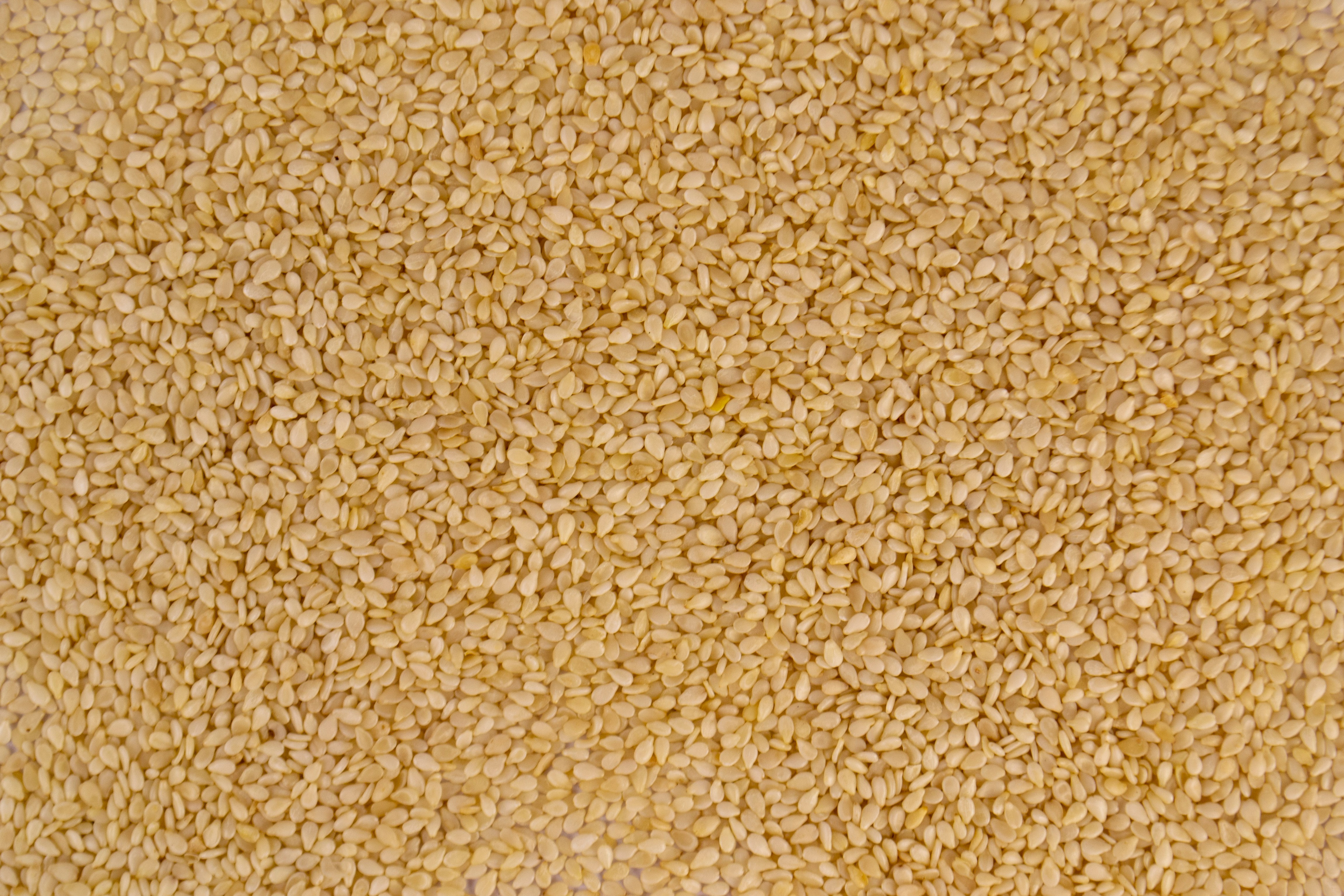 High-quality sesame seeds